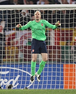 Manuel Almunia (Arsenal)