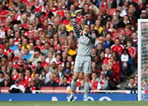 Manuel Almunia (Arsenal). Arsenal 2: 3 West Bromwich Albion, Barclays Premier League