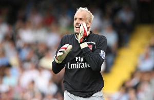 Manuel Almunia (Arsenal). Fulham 1:0 Arsenal, Barclays Premier League, Craven Cottage, London, 23/8/2008