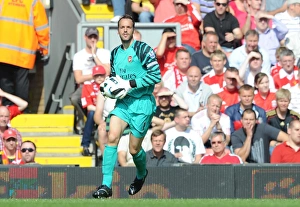 Manuel Almunia (Arsenal). Liverpool 1: 1 Arsenal, Barclays Premier League