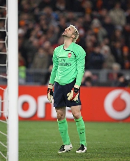Almunia Manuel Collection: Manuel Almunia (Arsenal) during he penalty shoot-out