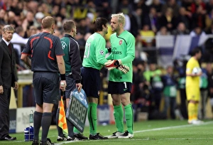 Almunia Manuel Collection: Manuel Almunia is replaced by Lukasz Fabianski (Arsenal)