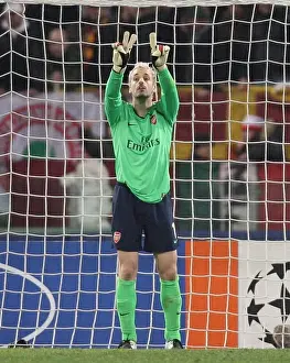 Manuel Almunia's Penalty Heartbreak: AS Roma 1-0 Arsenal in UEFA Champions League