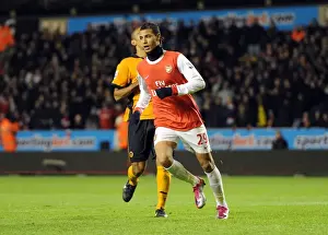 Wolverhampton Wanderers V Arsenal 2010-11 Prints: Marouane Chamakh celebrates scoring his and Arsenals 2nd goal. Wolverhampton Wanderers 0