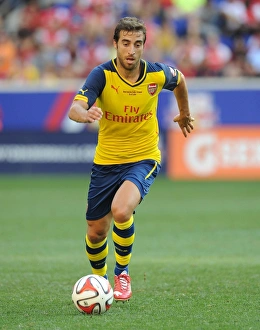 Mathieu Flamini in Action: Arsenal vs. New York Red Bulls, 2014