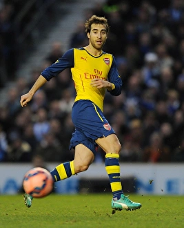 Brighton And Hove Albion V Arsenal - FA Cup 2014/15 Prints: Mathieu Flamini in Action: Arsenal vs. Brighton & Hove Albion, FA Cup 2015