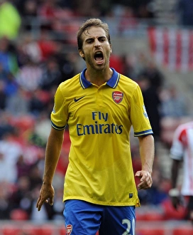 Mathieu Flamini in Action: Sunderland vs. Arsenal, Premier League 2013-14