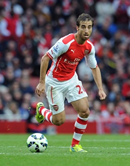 Mathieu Flamini (Arsenal). Arsenal 2: 2 Hull City. Barclays Premier League. Emirates Stadium