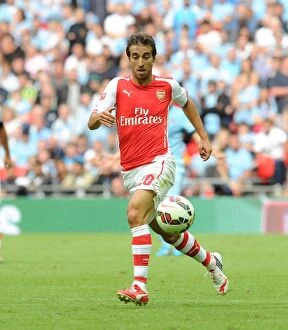 Images Dated 10th August 2014: Mathieu Flamini (Arsenal). Arsenal 3: 0 Manchester City. FA Community Shield. Wembley Stadium