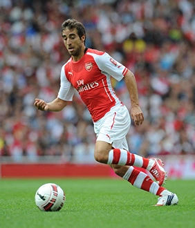Mathieu Flamini (Arsenal). Arsenal 5: 1 Benfica. The Emirates Cup, Day 1. Emirates Stadium, 2 / 8 / 14