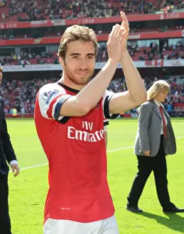 Mathieu Flamini: Arsenal's Determined Midfielder Amidst Arsenal v West Bromwich Albion Battle, Premier League 2013-14