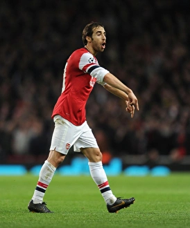 Arsenal V Bayern Munich 2013-14 Prints: Mathieu Flamini Focus: Arsenal vs. FC Bayern Munich, UEFA Champions League 2013-14
