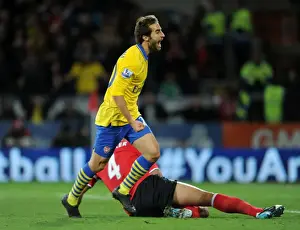 Mathieu Flamini Scores Arsenal's Second Goal vs Cardiff City (2013-14)