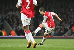 Mathieu Flamini shoots past Shay Given to score the 2nd Arsenal goal