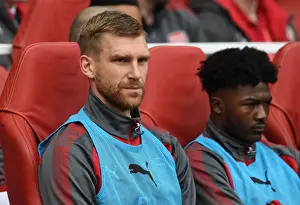 Arsenal V Brighton And Hove Albion 2017-18 Prints: Per Mertesacker Focuses in Arsenal's Battle Against Brighton & Hove Albion (2017-18)