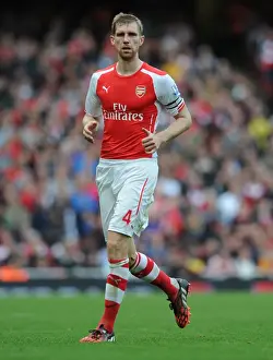 Arsenal V Hull City 2014-15 Prints: Per Mertesacker Focuses in Arsenal's Victory Against Hull City (2014-15)