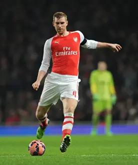 Arsenal V Hull City 2014-15 - FA Cup Prints: Per Mertesacker Focuses in FA Cup Clash: Arsenal vs Hull City (2014-15)