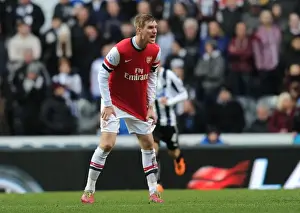 Newcastle United V Arsenal 2013-14 Prints: Per Mertesacker Focuses in Newcastle United vs Arsenal Premier League Clash (2013-14)