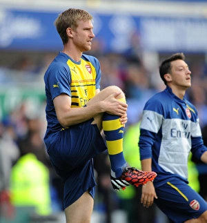 Everton V Arsenal 2014/15 Prints: Per Mertesacker Gears Up: Everton vs Arsenal, Premier League 2014/15