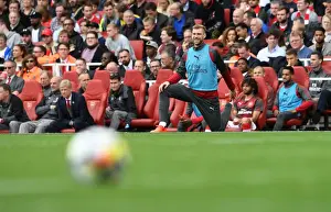 Arsenal V Brighton And Hove Albion 2017-18 Prints: Per Mertesacker's Unwavering Concentration: Arsenal vs Brighton & Hove Albion (2017-18)