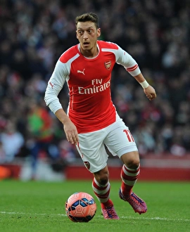 Arsenal V Middlesbrough - FA Cup 2014-15 Prints: Mesut Ozil: In Action for Arsenal Against Middlesbrough, FA Cup 2014-15