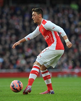 Arsenal V Middlesbrough - FA Cup 2014-15 Prints: Mesut Ozil in Action: Arsenal vs Middlesbrough, FA Cup 2014-15