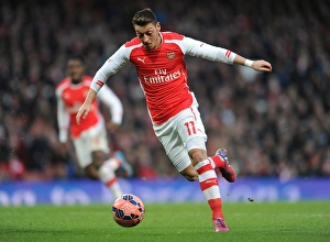 Arsenal V Middlesbrough - FA Cup 2014-15 Prints: Mesut Ozil in Action: Arsenal vs. Middlesbrough, FA Cup Fifth Round