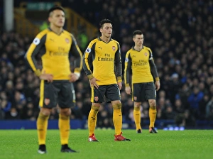 Mesut Ozil in Action: Everton vs Arsenal, Premier League 2016-17