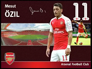 Images Dated 3rd December 2014: Mesut Ozil Framed Player Profile