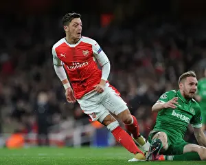 Arsenal V PFC Ludogorets Razgrad 2016-17 Prints: Mesut Ozil Scores Arsenal's Fourth Goal in 2016-17 Champions League Against Ludogorets