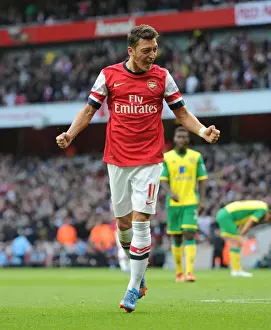 Mesut Ozil Scores Arsenal's Second Goal vs Norwich City (2013-14 Season)