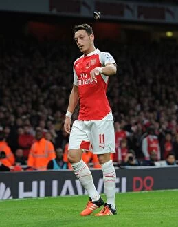 Arsenal v Tottenham Hotspur 2015-16 Collection: Mesut Ozil's Passionate Moment: Throwing Arsenal Badge in Intense Arsenal vs
