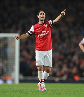 Arsenal V Newcastle United 2013/14 Prints: Mikel Arteta Focused: Arsenal vs Newcastle United, Premier League 2013/14