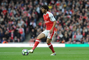 Arsenal V Middlesbrough 2016-17 Prints: Mohamed Elneny in Action: Arsenal vs Middlesbrough, Premier League 2016-17