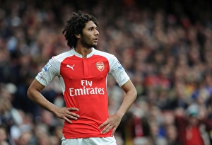 Mohamed Elneny: In Action for Arsenal Against Watford, Premier League 2015-16