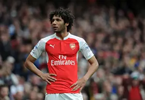 Arsenal V Watford 2015-16 Prints: Mohamed Elneny: Arsenal's Midfield Maestro in Action Against Watford