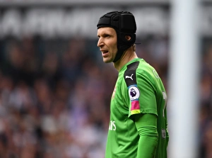 Tottenham Hotspur V Arsenal 2016-17 Prints: Petr Cech Focused: Arsenal vs. Tottenham Hotspur, Premier League 2016-17