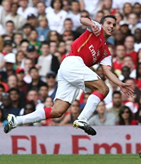 Arsenal v Inter Milan 2007-08 Gallery: Robin van Perise (Arsenal)