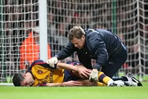 Images Dated 26th October 2008: Robin van Perise (Arsenal) with Physio Colin Lewin