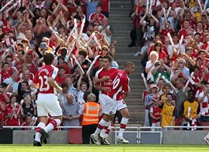 Arsenal v Stoke City 2008-09 Collection: Robin van Perise celebrates scoring Arsenals 2nd goal