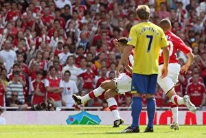 Arsenal v Stoke City 2008-09 Collection: Robin van Perise scores Arsenals 2nd goal his 1st