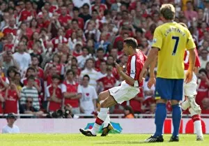 Arsenal v Stoke City 2008-09 Collection: Robin van Perise scores Arsenals 2nd goal his 1st