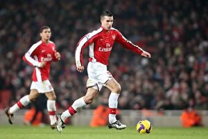 Images Dated 10th January 2009: Robin van Persie (Arsenal)