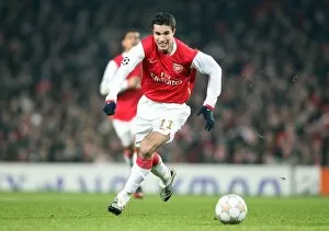 Images Dated 12th December 2007: Robin van Persie (Arsenal)
