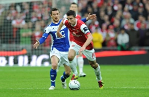 Robin van Persie (Arsenal) Barry Ferguson (Birmingham). Arsenal 1: 2 Birmingham City