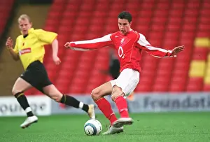 Robin van Persie (Arsenal) passes to Aliadiere for the 1st goal