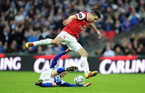 Robin van Persie (Arsenal) Sebastien Larsson (Birmingham). Arsenal 1: 2 Birmingham City