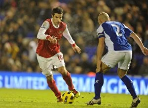 Images Dated 1st January 2011: Robin van Persie (Arsenal) Stephen Carr (Birmingham). Birmingham City 0: 3 Arsenal