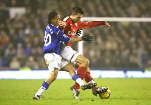 Robin van Persie (Arsenal) Steven Pienaar (Everton)