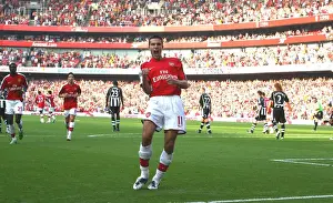 Robin van Persie celebrates scoring the 1st Arsenal goal